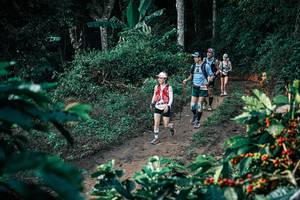 BIB: 
                            <button type="button" onclick="openModal(25803213)" class="btn btn-primary btn-sm float-right btn-popup" data-toggle="modal" data-target=".modal-high-quality">
                        <i class="fas fa-shopping-cart"></i> Add to Cart
                    </button>
                                            <button type="button" onclick="isThisMe(25803213, true)" class="btn btn-success btn-sm float-right btn-popup btn-isme hidden" data-toggle="tooltip" data-placement="bottom" title="นี่คือรูปของคุณใช่ไหม คลิกที่นี่เพื่อเอาเข้าอัลบั้ม">
                        <i class="fas fa-plus"></i> Add to album
                    </button>
                    <button type="button" onclick="isThisMe(25803213, false)" class="btn btn-warning btn-sm float-right btn-popup btn-isnotme hidden">
                        <i class="fas fa-ban"></i> Remove from album
                    </button>